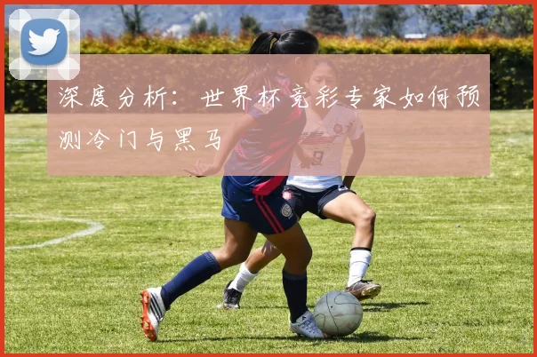 深度分析：世界杯竞彩专家如何预测冷门与黑马